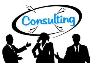 PDM/PLM Consulting