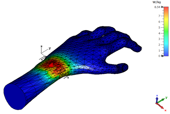 Bio – EM Simulation